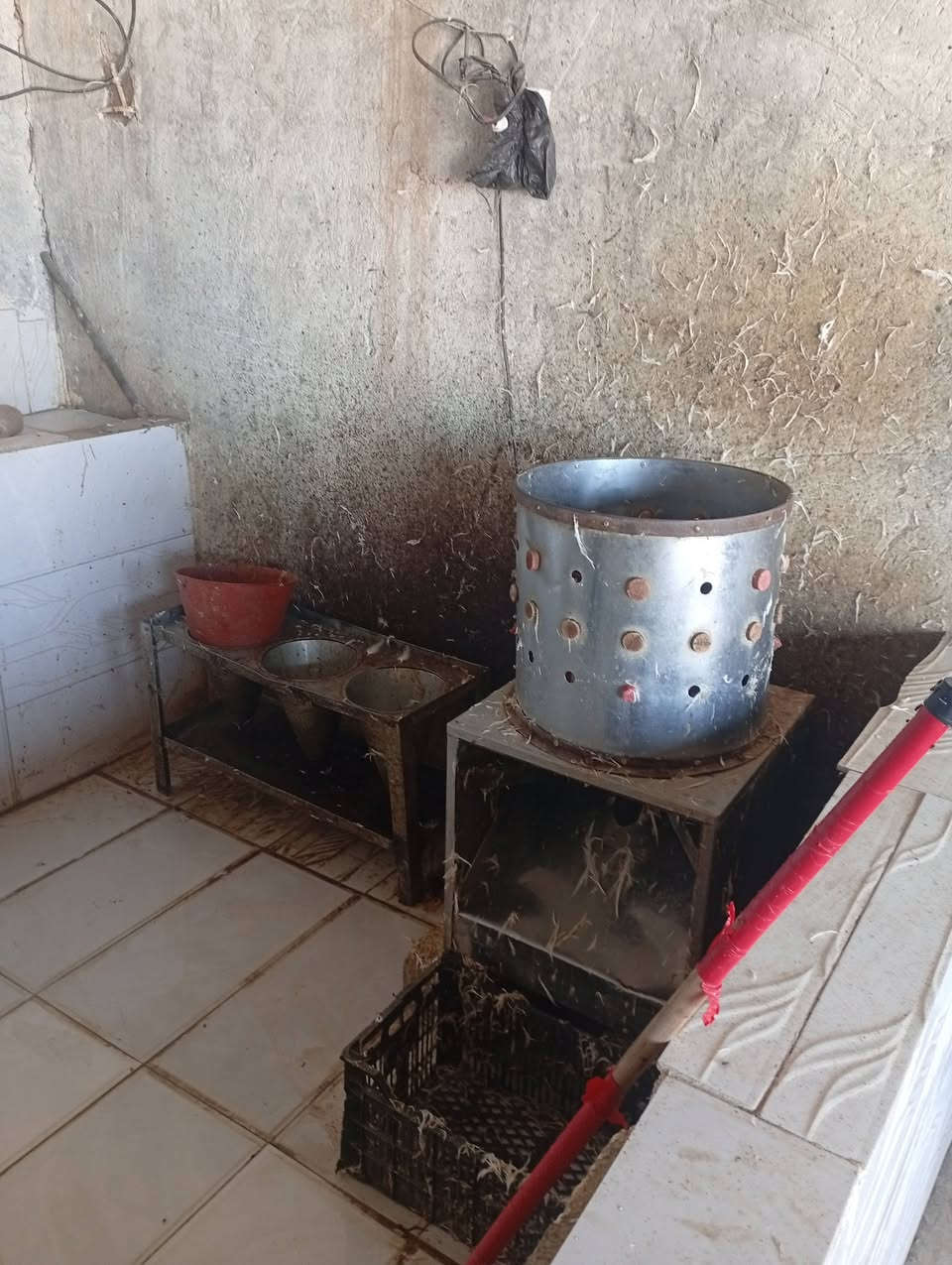 محل جزر دجاج حي وسمك للبيع معة شوايه سمك متكامل موقع الطيوب مقابل معمل الثلج الستفسار ***********
