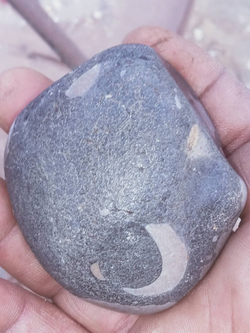 على الله


**إذا كنت صاحب هذا الإعلان وتريد حذفه لأي سبب، رجاءا أرسل رسالة إلى الدعم الفني**