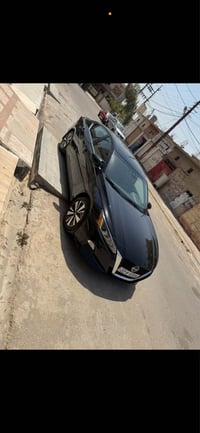 التيما SV • ٢٠٢٢ • بدون صبوغ