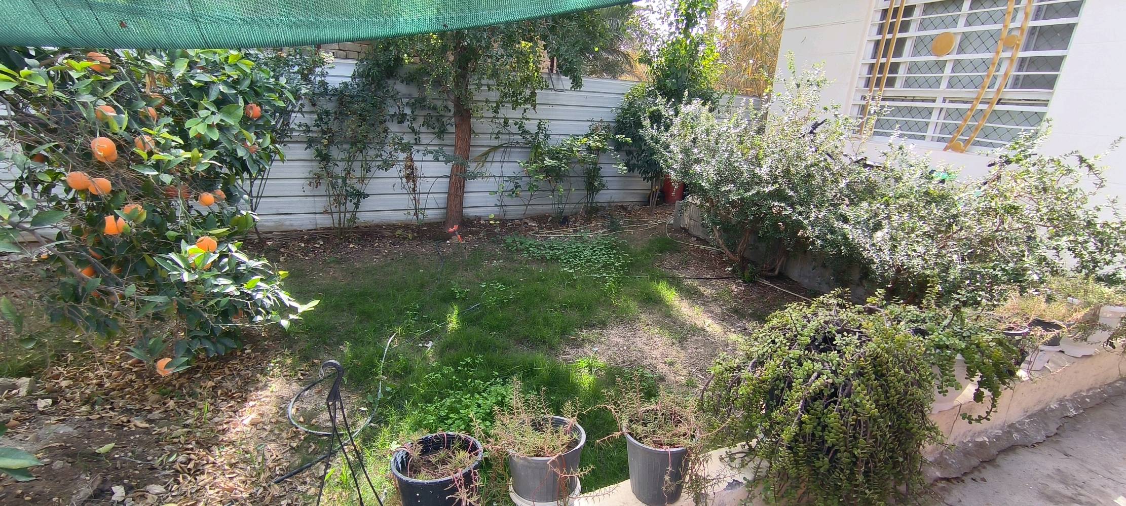 بيت للبيع طابو زراعي سند 25
مع أو بدون الأثاث 

مساحة ٢٨٥ متر (10 × 28،5)
طابق واحد غرفتين نوم وباقي الملحقات
حديقتين وكراج سيارة

السعر 185 مليون بي مجال للشراي 
وين يقع البيت بالضبط؟: 
شارع فندق البارون / قرب عمود 84 
شنو مساحة البناء؟: 
285 منها 120 تحت البناء 
هل يرافق البيع أي أثاث أو تجهيزات؟: 
مع أو بدون الأثاث 
كم عدد الغرف بالبيت؟: 
2
شنو المواصفات الفنية للتكييف والتدفئة؟: 
سبلت عدد 2 / مكيف عدد 1