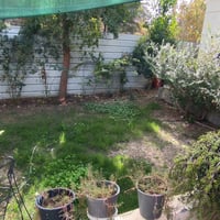 طابو زراعي • ٢٨٥م • غرفتين