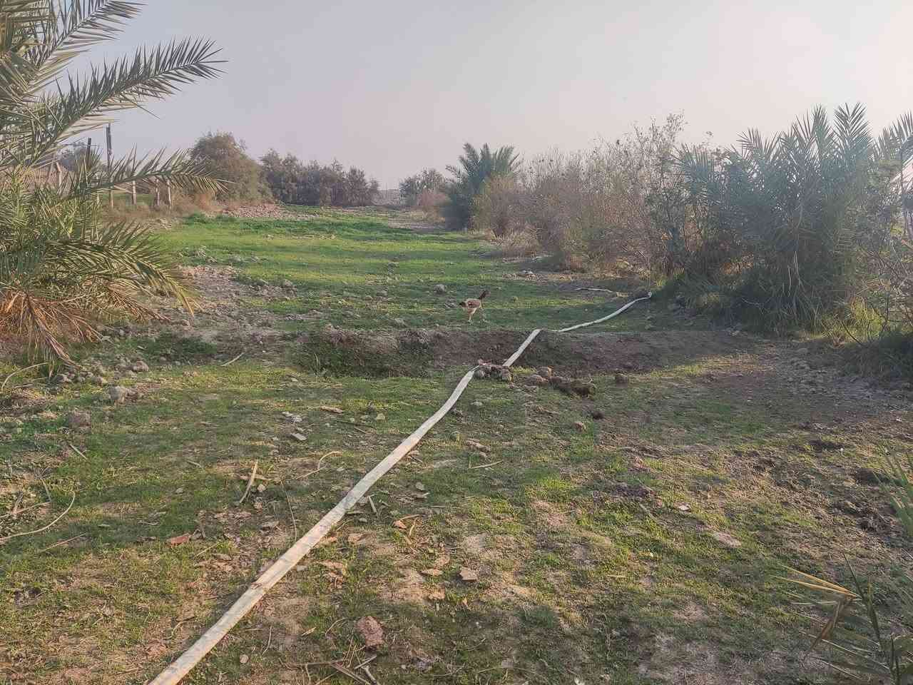 مزرعه للبيع مساحه واحد دونم
مسيجه بلكامل بي ار سي 
تحتوي على كافة الاشجار المثمرة نخل تين رمان توت 
ارض زراعيه صالحه للزراعه ماء سقي +بير ارتوازي +اسالة 
كهرباء محولتين خطين مستمرة 220 ثابته 
تحتوي المزرعه على دار سكني مساحه 150 بناء بلوك 
عنوان المزرعه طريق السنية السياحي تعبر سكه القطار بمسافة قليلة كلش مقابيل مكتب عصام الصالحي نزلة تبليط عن الشارع العام الرئيسي تقريبا كيلو تبليط لباب البيت منطقة سكنية وخدمية وتبليط للباب 
تصلح سكن او استثمار او ترفيهية سعر مناسب مع اسعار المنطقة الاستفسار اتصل بلرقم ***********
