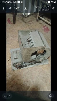 كوريين • واحد حصان • ايطالي