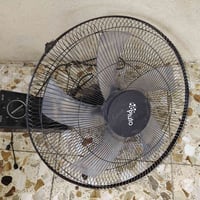 بنكات جداريه • العدد ١٠ • ماركه زينه