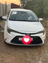 كورلا للبيع ورد امريكي ظراره بمريكه بنيد وجملق  LE.  نص فول سيره حلوه ...