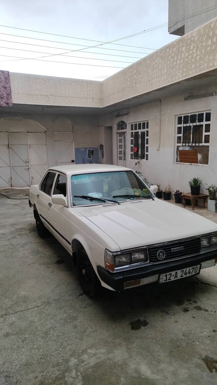 كرونا 81  كير 4
صبغ عام 

بسمي 

سنويا ل29

سعر 35

***********

***********
