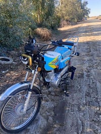 تايگر 2024 • اوراق اصولي • كفالة عامة