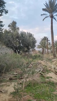 نهاية رگه حجي سهيل • ٤ دوانم ونص • مباشر نهر ديالى