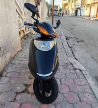 سبيسي ياباني • كوت الطشاش • سعر مناسب