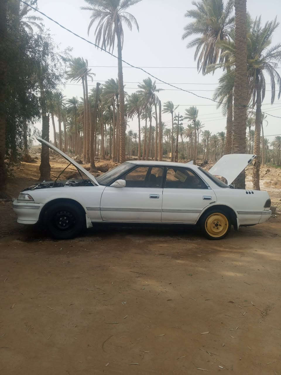 سلام عليكم مارك للبيع موديل 91 مشروع وطني رقم نجف مداور ثانيوم سياره جديده مكينه صالي عشرين يوم من شديتهه كهرباياته شغاله كلهه حداديه نضيفه تخم تايرات توني شادهن تبريدهه عوزه بس كمبريسر دواخل نضيفه مكفوله من الكص ونقل سياره بلاديه بس كيرهه كايم هوه يمشي بي ضعف بس اني ابيع كايم سياره شغاله مابيهه شي وما عايزه شي سياره كامله سعر 40 وبيهه مجال مكان محافضة الديوانية قضاء غماس رقمي ***********
