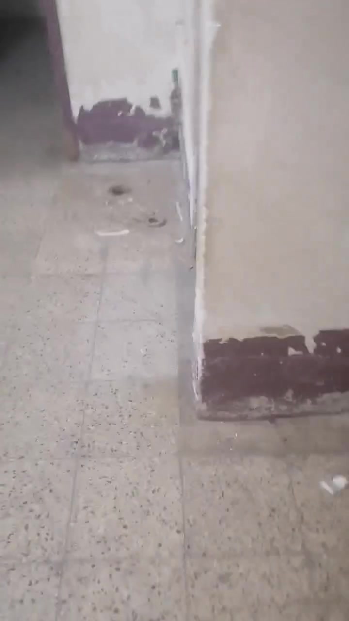 سلام عليكم هاي شقه اليجار  بحي العامل منطقه سابعه مقابل اسواق تفاحه ركن تصير طابق اول وليسا ارضي السعر اجارها 300وبيها مجال قليل كلش 
للتصال ولستفسار واتساب ***********👉🏼🫴واتساب فقط اتصال فقط ***********
