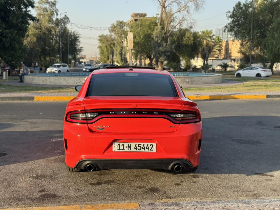 (جارجر GT  جيتي  )
(‏‎ وكاله هارلم  داخل جلد  )
‏‎الموديل : 2019 . (سياره خليجي وكاله هارلم ) 
‏‎( المحرك : 6V 3600. ) 
‏‎(سياره كفاله عامه لا صبغ ولا بارد ولا تبديل ) 
‏‎العداد : 48 الف  شرط الفحص  ( سياره جديده ) 
‏‎(سياره بلاديه كله علا ايد وحده )
( رقم بغداد بسمي الجديد تحويل ثاني يوم )
‏‎المواصفات : الون برتقالي المرغوب 
‏‎* نسخة  GT 
‏‎* حساسات خلفية . 
‏‎* شاشه كبيرة مع نظام ملاحة نفكيشن GPS .
‏‎* سستم صوت الپاين مع سماعات پريميوم .
‏‎* ويل قياس 20 انج . 
‏‎* مصابيح امامية زنون . 
‏‎* كشافات الضباب زنون . 
‏‎* فتحت سقف (سلايد) . 
‏‎* مقاعد رياضية من الجلد الفاخر . 
‏‎* المقاعد الأمامية كهربائية . 
‏‎* مقاعد أمامية تبريد وتدفئة . 
‏‎* تشغيل عن بعد . 
‏‎* ستيرن كهربائي . 
‏‎* تدفئة ستيرن . 
‏‎* محدد سرعة . 
‏‎* تلفون بلوتوث . 
‏‎* كاميرا خلفية .
‏‎* مرايا متحسسة للاضاءة العالية .
‏‎* كير شفتات بالستيرن . 
‏‎* دخول ذكي (بصمة) .
سياره ماخذه زيرو من شركه هارلم 
سياره  خليجيه 📍
السعر 290 ورقه و بيهه مجال 
قطعة نادره سياره استخدام شخصي 1
‏‎رقمي ***********
مكاني بغداد 
‏‎بيع او مراوس
