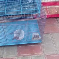 اقفاص • اسعار مناسبة • جديد ومستعمل