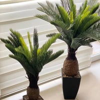 زرع اصطناعي • شبه طبيعي • استخدام قليل