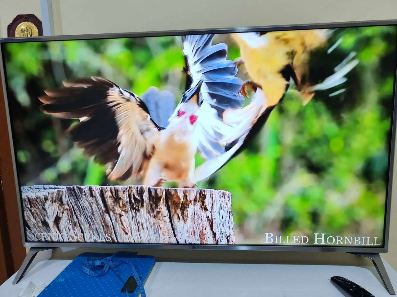 شاشة  إل جي للبيع موديل (LG 49UJ651V) وهي تلفاز ذكي بدقة 4K. كوريه وليست مصري او اندنوسي ومشتغله فقط ٤ اشهر.
شاشة  إل جي للبيع موديل (LG 49UJ651V) وهي تلفاز ذكي بدقة 4K. كوريه وليست مصري او اندنوسي ومشتغله فقط ٤ اشهر..
شاشه تفيد جماعة الالعاب ايضا لان راح تنطيك دقه فور كي حقيقي وليس كلام فقط مثل شاشات الصيني 
للمعلومه اكو تقليد صيني للشاشه ومعروفه 

المواصفات الأساسية

· الموديل: LG 49UJ651V 
· النوع: تلفاز LED ذكي (Smart TV) 
· سنة الصنع: 2017 (كما هو موضح على الملصق) 

الشاشة والعرض

· الحجم: 49 بوصة (قطرياً) 
· الدقة: 4K Ultra HD (3840 x 2160 بكسل) 
· نوع اللوحة: IPS (توفر زوايا مشاهدة واسعة) 
· معدل التحديث: 100 هرتز (مؤشر تردد) 
· تقنيات الصورة:
  · HDR: تدعم تقنيات Active HDR و HDR10 و HLG .
  · معالج ألوان: يحتوي على محرك لتحسين الألوان (Color Master Engine) .
  · رفع الدقة: يمكنه رفع دقة المحتوى العادي إلى قريبة من 4K (4K Upscaler) .

الصوت

· الطاقة الصوتية: 20 واط 
· نظام السماعات: 2.0 قناة 
· محيط صوتي: يدعم تقنية Ultra Surround لمحاكاة الصوت المحيطي .

النظام الذكي والاتصال

· نظام التشغيل: webOS 3.5 
· التحكم: جهاز التحكم السحري (Magic Remote) جاهز للاستخدام (يُباع بشكل منفصل غالباً) .
· البث والمرايا: يدعم Miracast و WiDi لعكس الشاشة من الأجهزة المحمولة والحاسوب .

المنافذ والمداخل

· HDMI: 4 منافذ (واحد منها يدعم ARC لإرجاع الصوت) 
· USB: 2 منفذ (بإصدار 2.0) 
· الشبكة: منفذ LAN (إيثرنت) و Wi-Fi مدمج (802.11ac) .
· اتصالات أخرى: Bluetooth مدمج ، مخرج صوت رقمي (Optical) ، مدخل RF للهوائي والقمر الصناعي ، ومدخل مركب (Composite) مشترك .

الطاقة

· مصدر الطاقة: AC 100-240V ~ 50/60Hz (كما هو موضح على الملصق) 
· الاستهلاك في التشغيل: حوالي 85 واط 
· الاستهلاك في وضع الاستعداد: 0.5 واط 

الأبعاد والوزن

· بدون قاعدة (عرض × ارتفاع × عمق): 110.7 × 64.5 × 7.9 سم 
· مع القاعدة (عرض × ارتفاع × عمق): 110.7 × 70.5 × 23.3 سم 
· الوزن بدون قاعدة: 11.3 كغم 
· الوزن مع القاعدة: 11.5 كغم 
· مقاييس التثبيت على الحائط (VESA): 300 × 300 ملم


**إذا كنت صاحب هذا الإعلان وتريد حذفه لأي سبب، رجاءا أرسل رسالة إلى الدعم الفني**