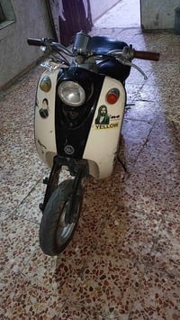 مصرية • معدل • ناصرية