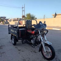 ستوته • فحل • اوراق كاملة