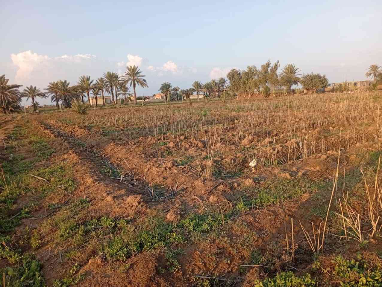 ارض زراعية للبيع ثلاث دوانم الة ربع وبيت وماء رساله وكهرباء وتبليط لبيت ومدرسة تبعد نص كيلو عنه سعر خاص متواجد فيس مكان بغداد ناحية المشاهدة عقارات العاصمة بغداد


**إذا كنت صاحب هذا الإعلان وتريد حذفه لأي سبب، رجاءا أرسل رسالة إلى الدعم الفني**