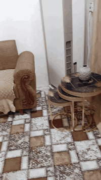 تخم تفصال جديد البيع الاتصال على الرقم 07801476346