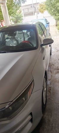 اوبتيما • وارد امريكي • فول فول