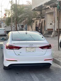 لانتره ٢٠١٧ • وارد أمريكي • بصرة الفاو