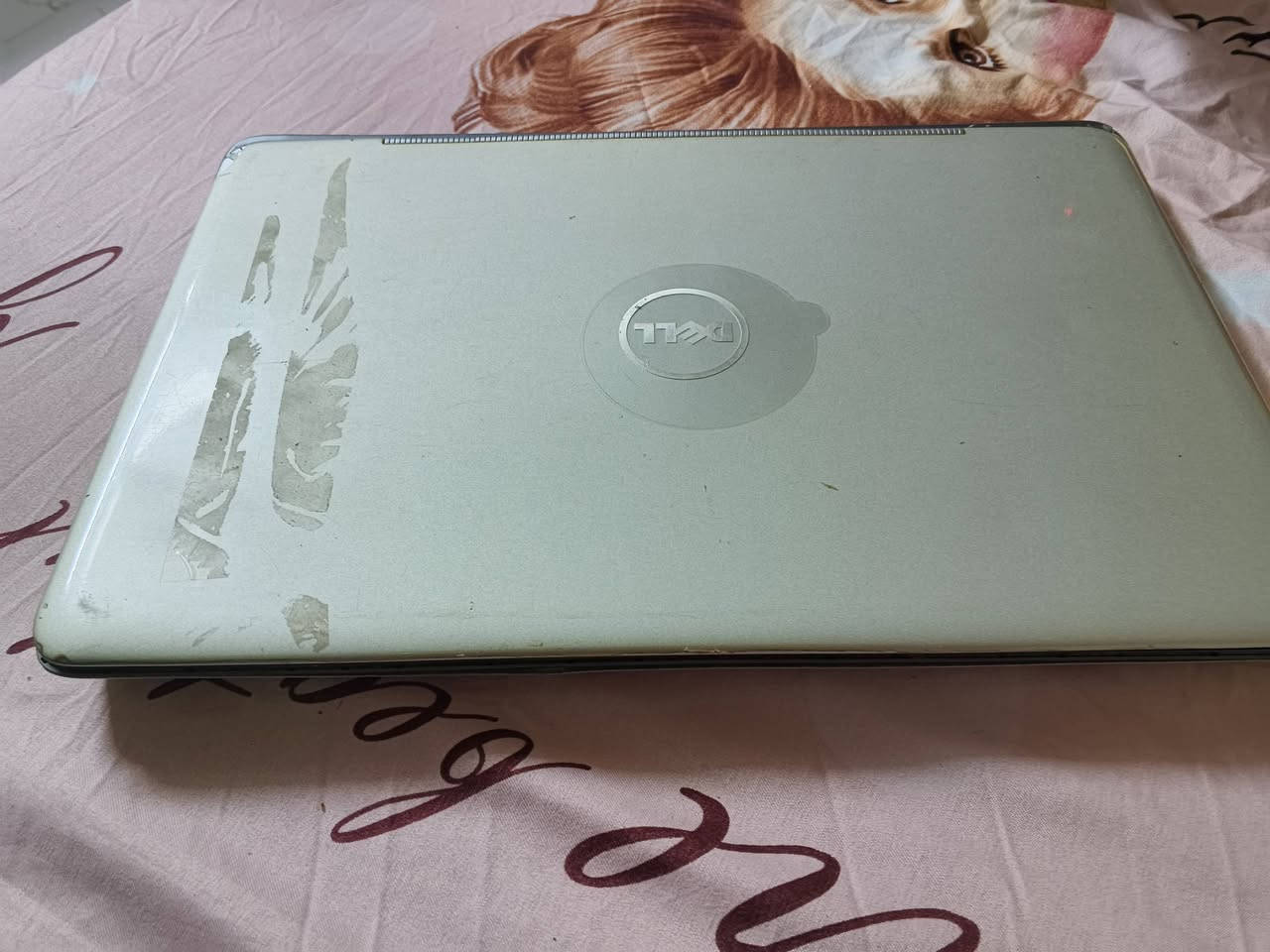 لاب توب للبيع عوزه رام


**إذا كنت صاحب هذا الإعلان وتريد حذفه لأي سبب، رجاءا أرسل رسالة إلى الدعم الفني**