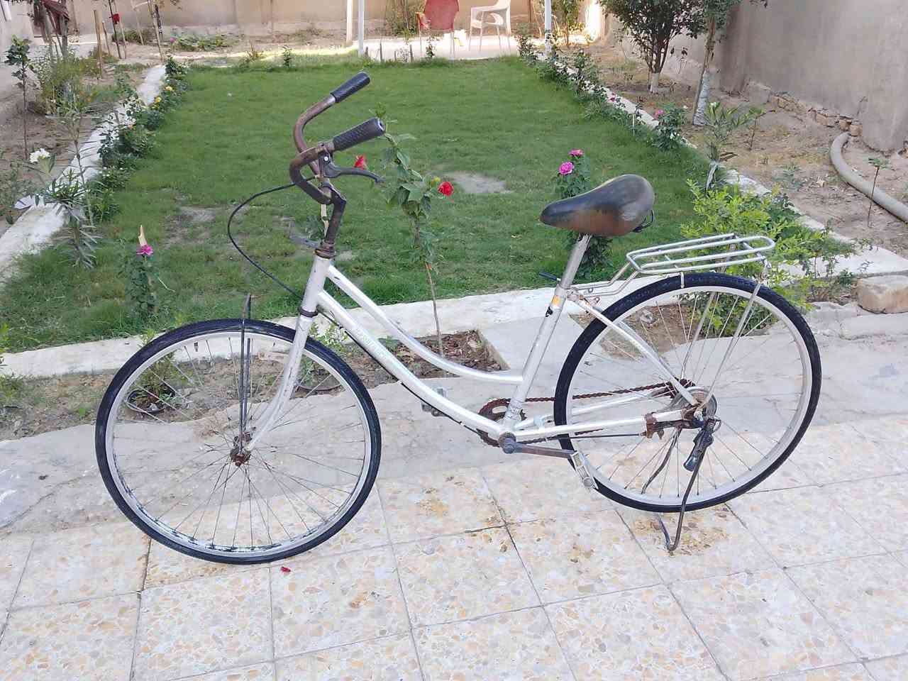 للبيع قيم وخذه مكاني طويريج الرجيبه
***********
