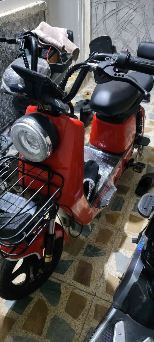 موطور شحن البيع حجم ١٦ بشرط كله شغال أربيل, العراق


**إذا كنت صاحب هذا الإعلان وتريد حذفه لأي سبب، رجاءا أرسل رسالة إلى الدعم الفني**