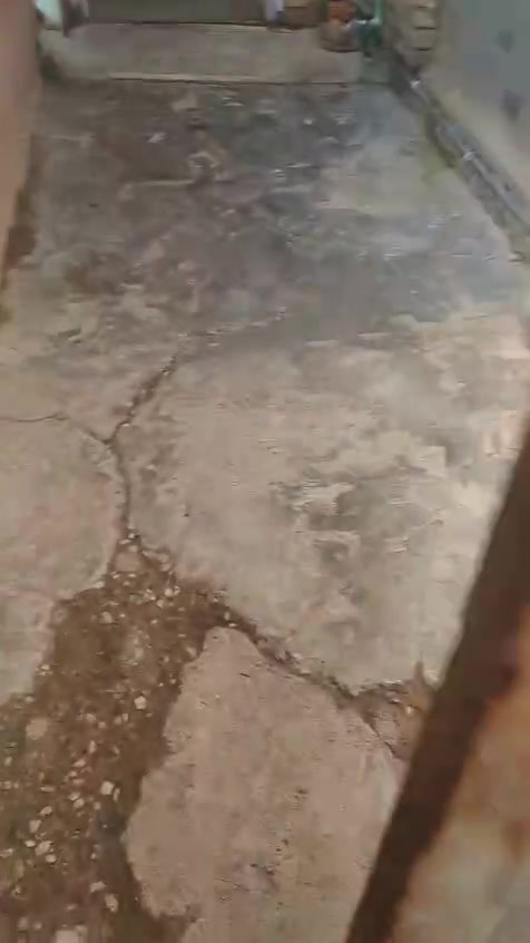 السلام عليكم شقتين طابق ثاني مرتبات للايجار في الشهداء قرب مدرسه احباب الزهراء الاتصال ***********
