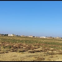 اعلان ١٠ دونم لبيع حسب الطلب طابو ملك صرف لعنوان جسر ديالى الجديد منطق...