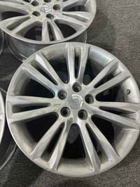 تخم ويل مكسيكي • ١٨ إنش • البصرة