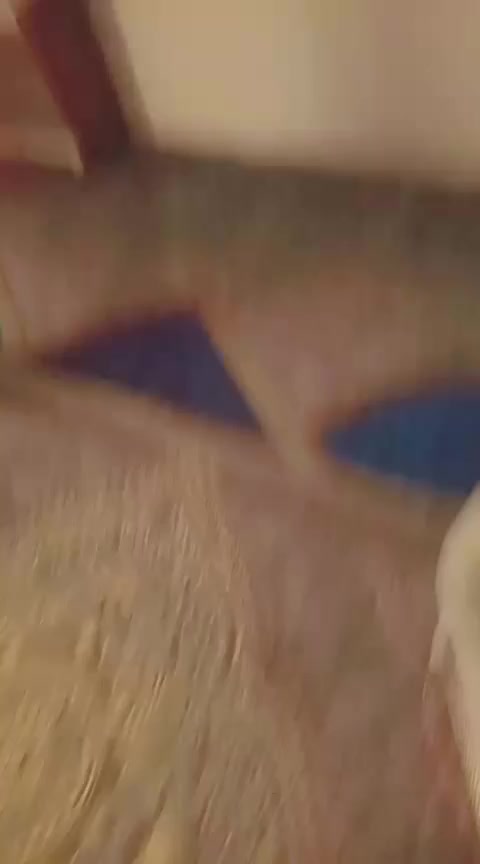 السلام عليكم بيت للبيع 50 متر ابشارع المدرسة سعد الوتر مقابيل الجامع الشهيد رائد السعر 60 وبي مجال الشراء يجي خاص


**إذا كنت صاحب هذا الإعلان وتريد حذفه لأي سبب، رجاءا أرسل رسالة إلى الدعم الفني**