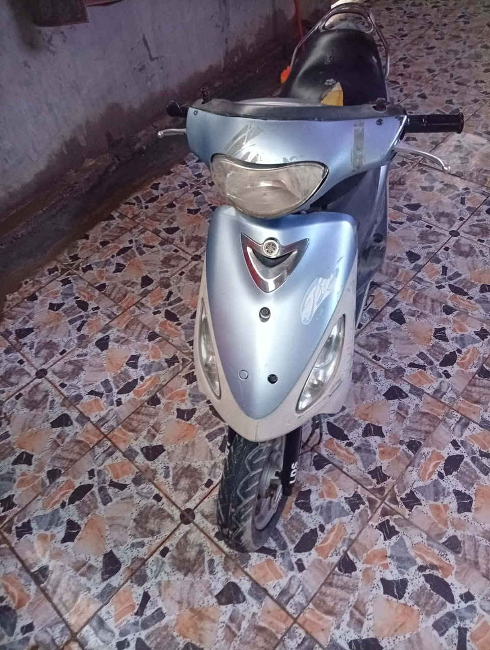 درجه ماكس منغولي للبيع سعر 500 *********** ابو خستاوي
