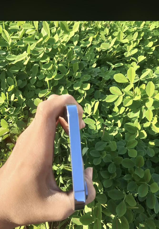 سلام عليكم أيفون 13برو ماكس ‏اللون مميز البحري
‏بالذاكرة العملاقة المميزة 512 البطارية 91 بلادية غير محفزه
‏الجهاز كله بلادي أخو الجديدة معنى الكلمة شخط واحد ما أبي
‏نظافة 100% 100 شرط الفحص وين ما يعجبك كفالة عامة
‏المكان الناصرية مركز ***********￼
