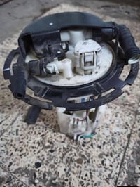 قواعد فيت بم • نيسان كيكس • وارد امريكي