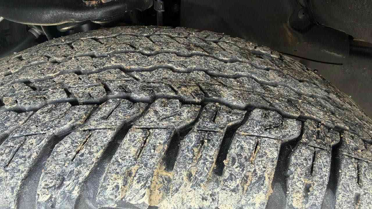 تایە و ویلی ترامپ بۆ فرۆشتن  
سەدا ٨٠ خاوینن 
سعری ٣٠٠$ دۆلەر 
***********
