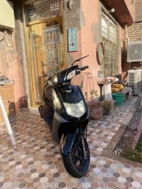 مراوس • بكير • للبيع