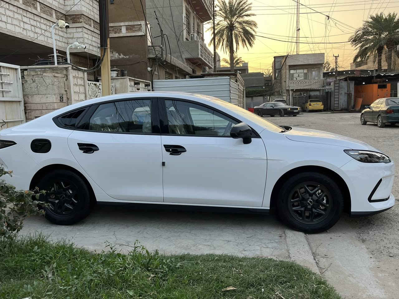 سلام عليكم
‏BYD سيل 5 موديل 2025 السيارة وضع الشركة وعليهه اضافات حلوة ماشية 3تلاف مكفولة كفاله عامة من كلشي ب اسمي تحويل ثاني ويوم مكان السيارة بغداد الكرخ للستفسار *********** 

هايبرد & بانزين & كهرباء 
المواصفات 🔻
سعه التانكي 65لتر 
حساسات 360
حجم المحرك 1.5
شاشه كبيره
هند بريك كهرباء
دشبول شاشه ديجيتال
اوتو هولد
مفتاح التشغيل بصمه
تشغيل عن بعد تحكمات مقود
منفذ طاقه
منافذ شحن
مقول جلد حياكه
دخول ذكي
3 وضعيات قياده
اشاير بل مري
تتسع المقصورة ل 5 ركاب
المقاعد جلد رياضي
اريل نفكيتر
لد امامي LED
‏LED بك لايد
قطعتين تبريد 
مثبت سرعة
حجم الاطار 16
مانع تزحلق
شاحنه خلفية
