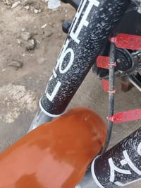 سدر سوته لبيع صار شهر من شادهن بس رید شد مال فرس وريد بيعهم دبلات وناس...