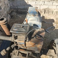 مولده • تشتغل • ديوانية