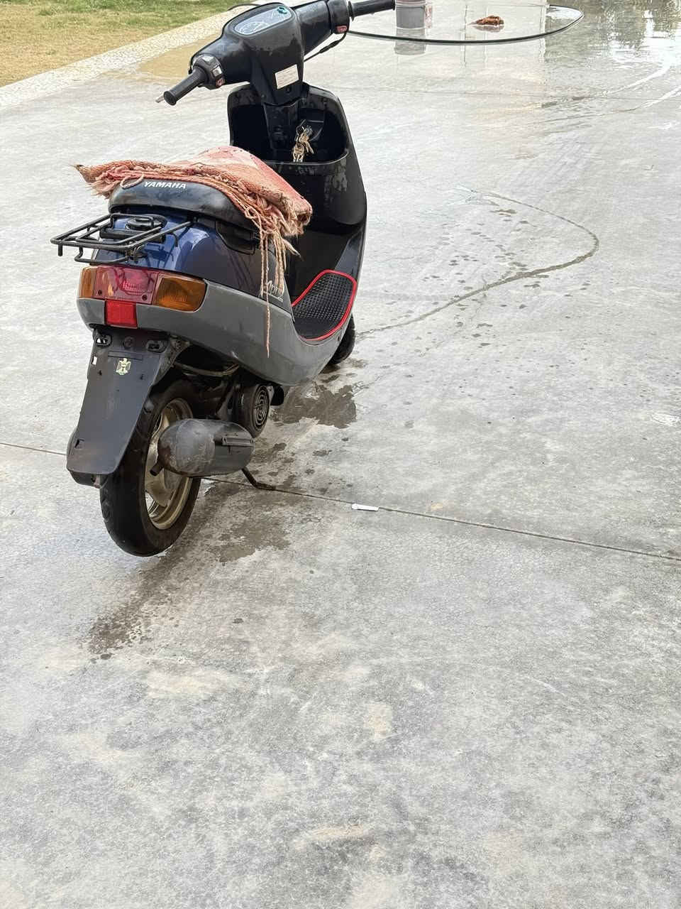 سلام عليكم عليكم دراجه بطه للبيع دراجه كامله مابيه يي نقص صار 3شهر طالعه من لوكيل مكاني كربلاء جامعه زهراء السعر 550 رقمي***********
