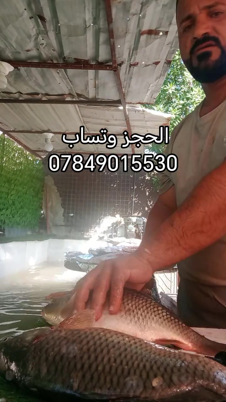 متوجدين حالينه وبس ب5ونص العدل هوه والشوي 
توصيل جميع كافة مناطق عفك الف دينار


**إذا كنت صاحب هذا الإعلان وتريد حذفه لأي سبب، رجاءا أرسل رسالة إلى الدعم الفني**