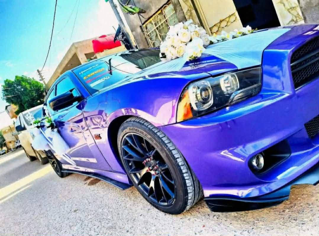 بسمه تعالى على بركة الله وبركة سيدنا ومولانا الإمام القاسم عليه السلام تم فتح محل غسل وبوليش وتزين سيارات الأعراس بأسعار مناسبة بوليش كافة أنواع السيارات و بأحدث الطرق زورو موقعنا الكائن طريق قاسم ديوانيه غسل غني ال كهار أهلاً وسهلا بإدارة زيد الجنابي للاتصال على الرقم***********
