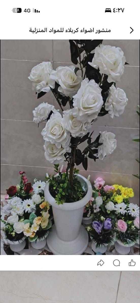 أشجار وسنادين ورد بأشكال جميله وقياسات مختلفه جمله ومفرد للطلب راسل البيج او الاتصال ب الرقم *********** واتساب نفس الرقم
