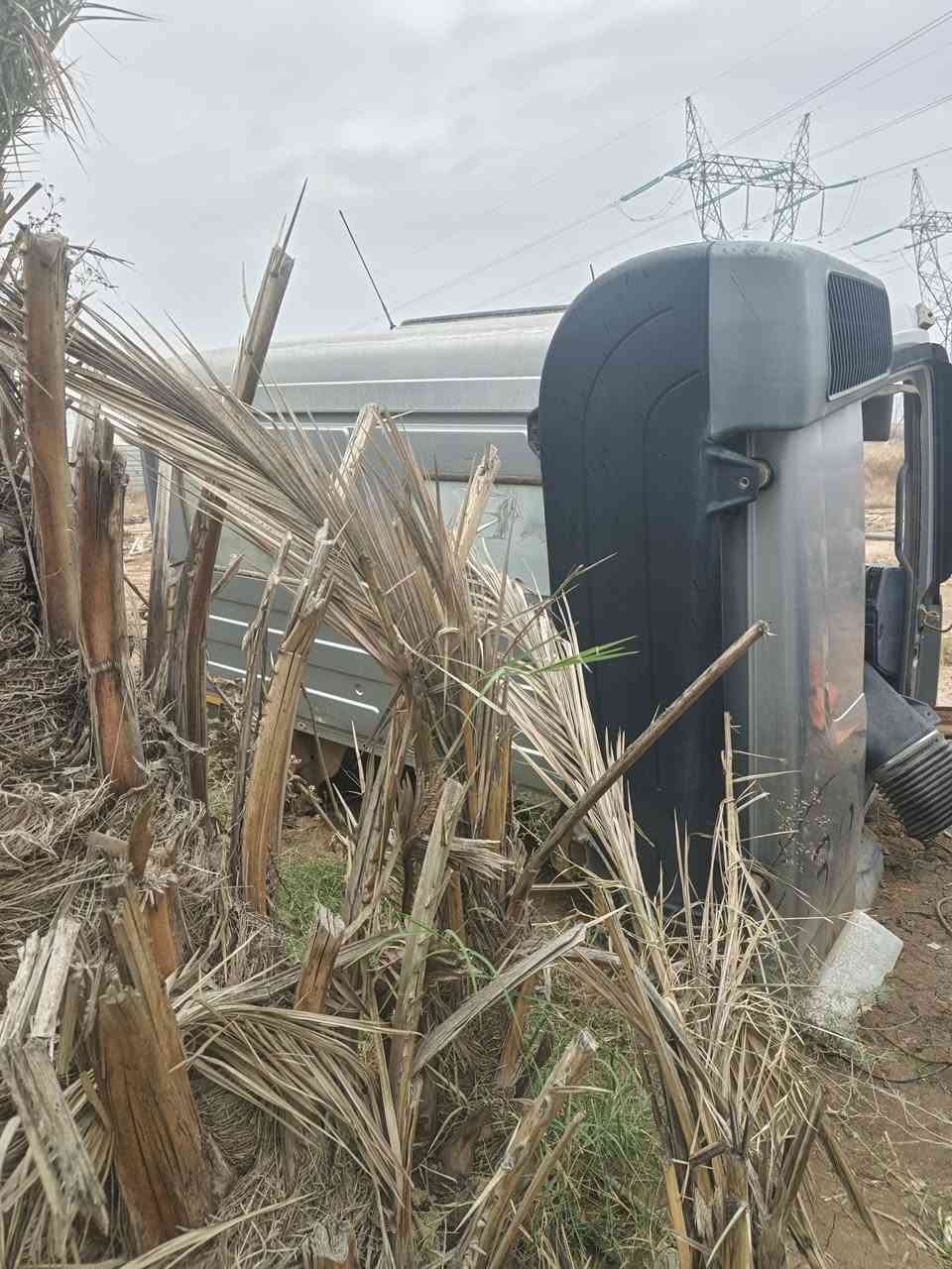 السلام عليكم قمائر للبيع السعر ٢٠  ***********
