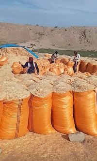 يوجد تبن شحم للبيع جميع انواع القياسات نتصل بنسب أسعار رقم 07733758709