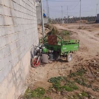 ام طير ٢٠١٩ • محرك ٢٣ • ٣ أوراق