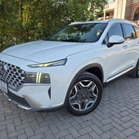 سنتافيا خليجي • موديل ٢٤ • مراوس/برام ٢١-٢٢ شمالي