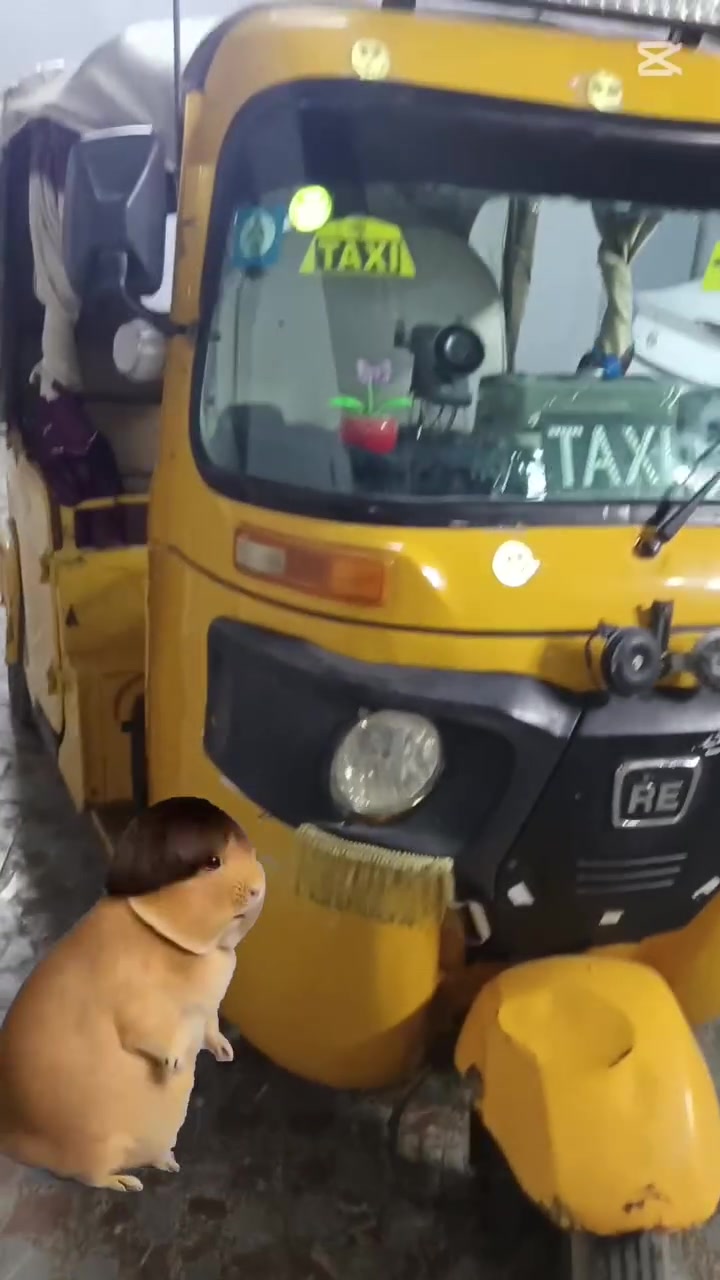 موديل ١٩شهر٤هزه جديده ٢٠٢٦واصله للبصمه السعر اربعه ونص مكان نجف


**إذا كنت صاحب هذا الإعلان وتريد حذفه لأي سبب، رجاءا أرسل رسالة إلى الدعم الفني**