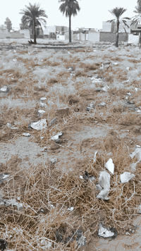 دونم منطقة جسر ديالى قريب شارع العام مال العريفية تبليط قريب يبعد خمسي...